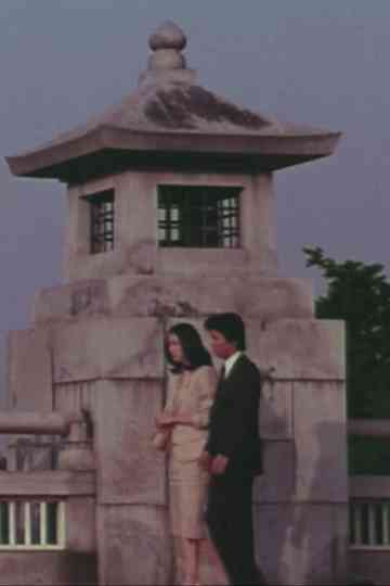 Female Doctor in the Surgical Ward Poster