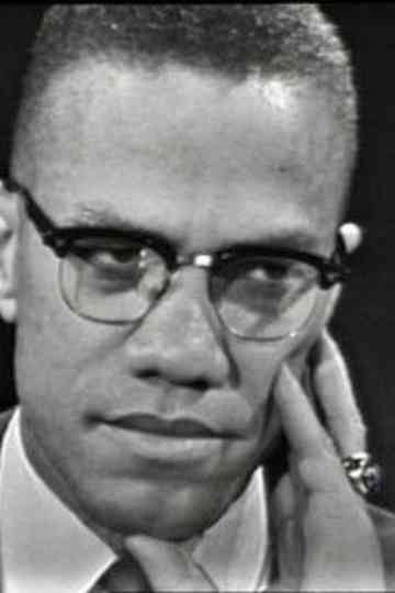 The Negro and the American Promise Poster