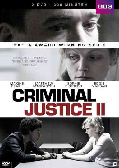 Criminal Justice II Poster