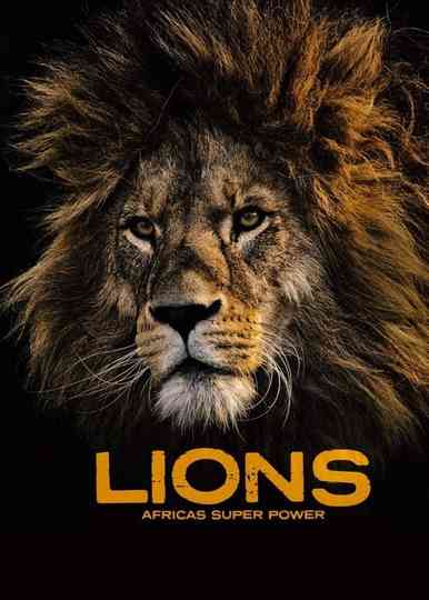 Lions: Africa's Super Power Poster