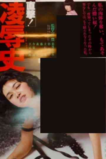 Direct Hit! History of Assault Poster