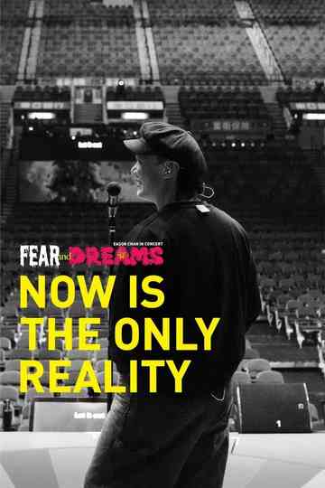 FEAR and DREAMS: NOW is the only reality Poster