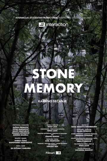 Stone Memory Poster