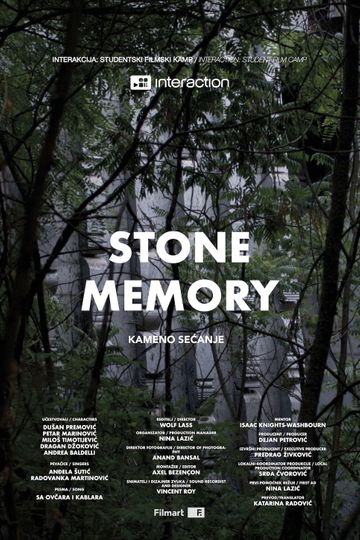 Stone Memory