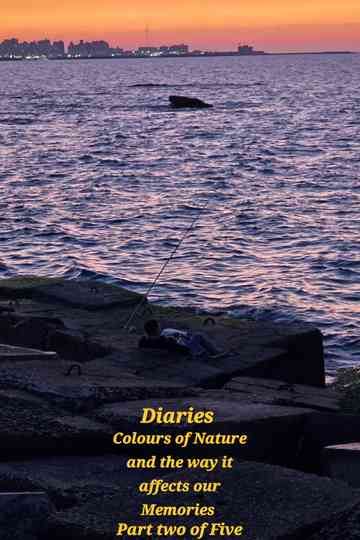 Diaries: Colours of Nature and the Way It Affects Our Memories. Poster