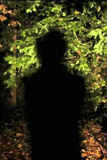 Nick Cave & The Bad Seeds - We No Who U R Poster