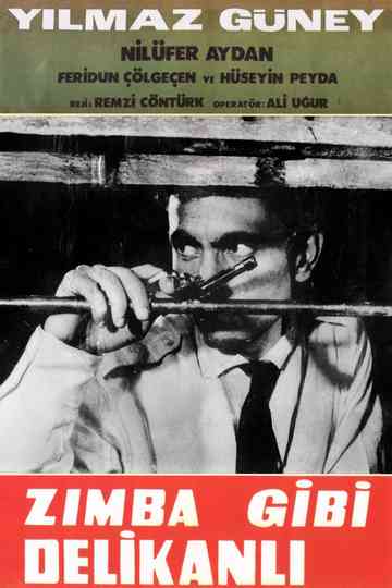 Zımba Gibi Delikanlı Poster