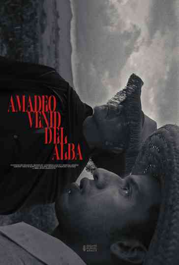 Amadeo Venid del Alba Poster