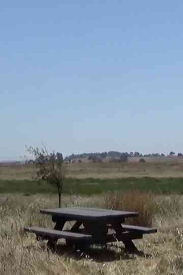 Ballad of a Wannabe Writer Poster