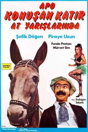 Apo Konuşan Katır At Yarışlarında Poster