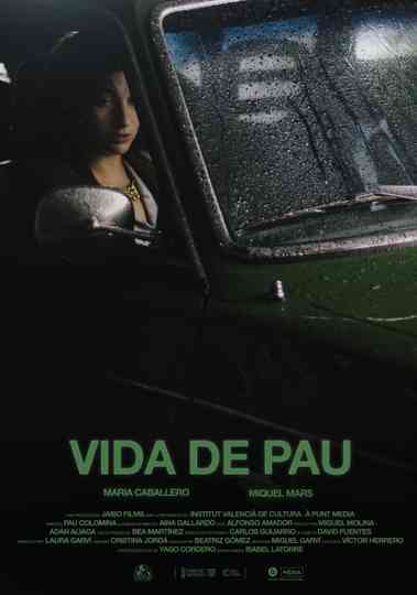 Vida de pau Poster