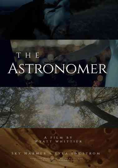 The Astronomer Poster