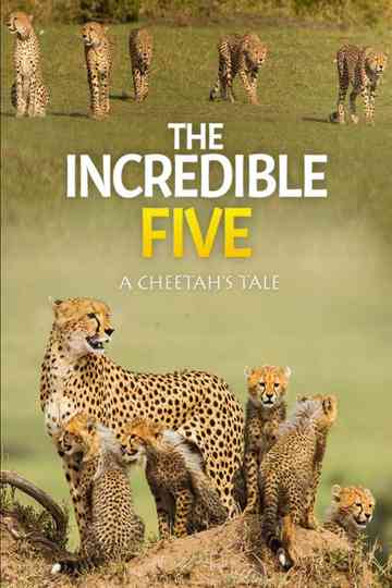The Incredible Five: A Cheetah's Tale Poster