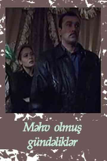 Destroyed Diaries Poster