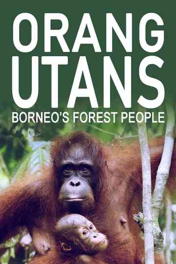 Orang Utans - Keepers of the Jungle Poster