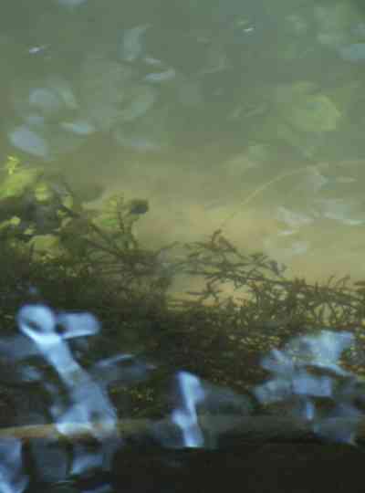 Heartbroken for Good Poster