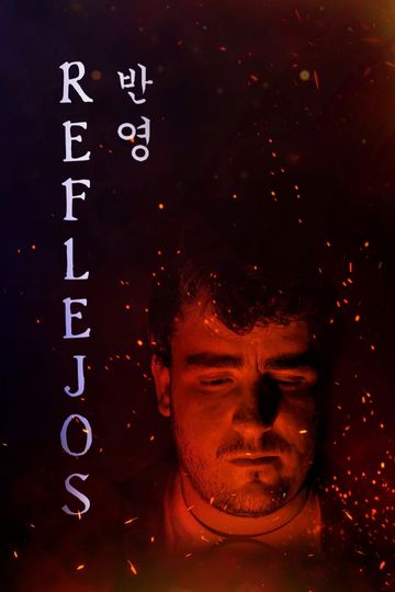 Reflections (반영)