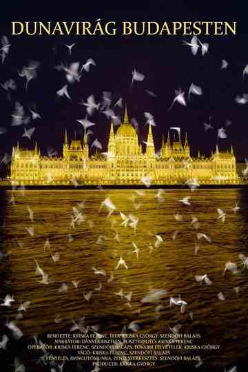Dunavirág Budapesten Poster