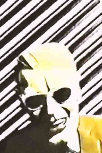 The Max Headroom Pirate Incidents Poster
