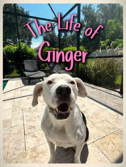 The Life of Ginger Poster