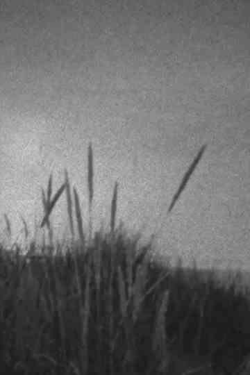 A Storm at Sea Poster