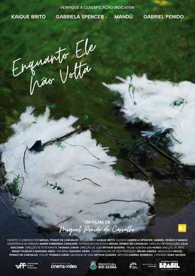 Enquanto Ele Não Volta Poster