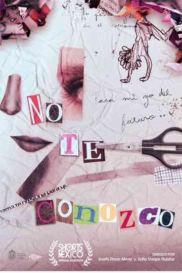 I Don´t Know You Poster