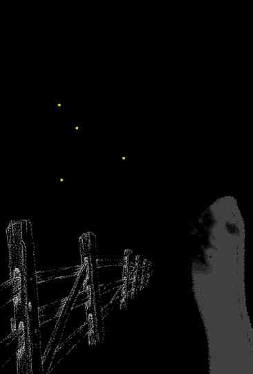 Fireflies Along the Fence poster