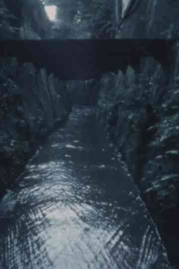 June Woods • July Swamp Poster