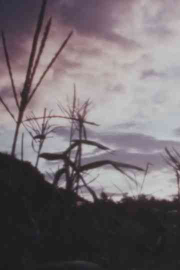 Eat a lot of Cabbage Poster