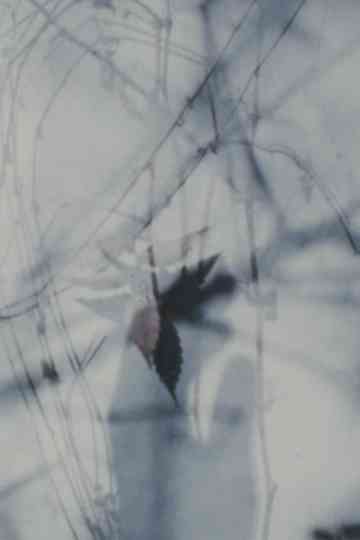 Ruins of Logi Poster