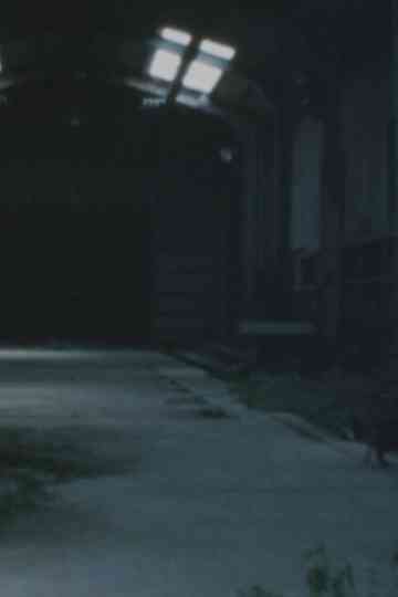 Ruins of Ōkubo Poster