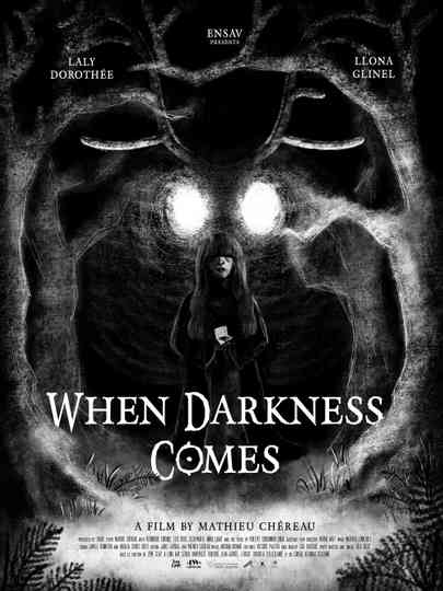When Darkness Comes Poster