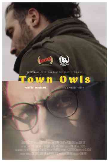 Town Owls Poster