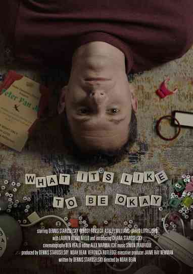 What It’s Like to Be Okay Poster