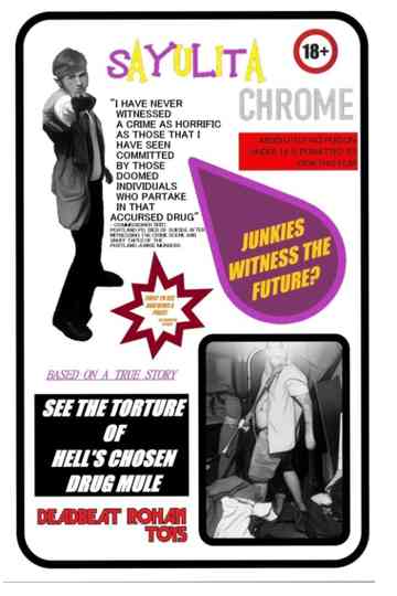 Sayulita Chrome Poster