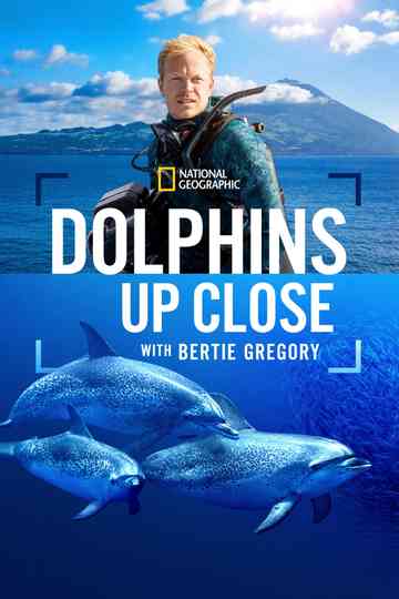 Dolphins Up Close with Bertie Gregory Poster
