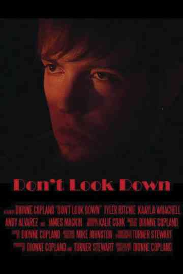 Don't Look Down Poster
