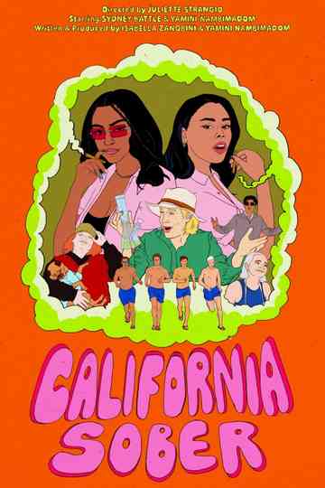 California Sober Poster