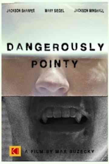 Dangerously Pointy Poster