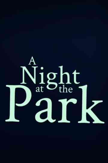 A Night at the Park Poster