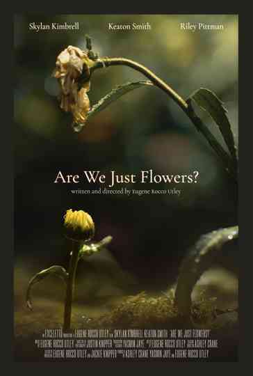 Are We Just Flowers? Poster