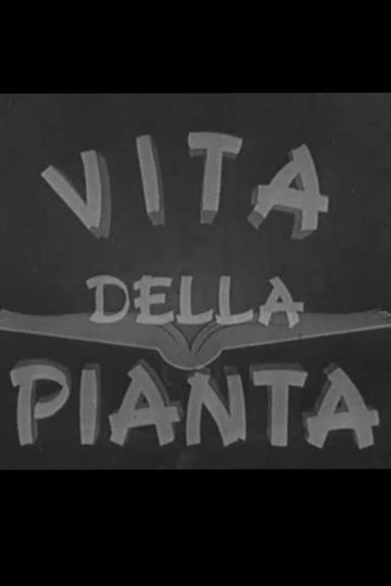 Vita della pianta
