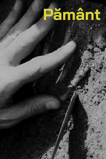 Pământ Poster