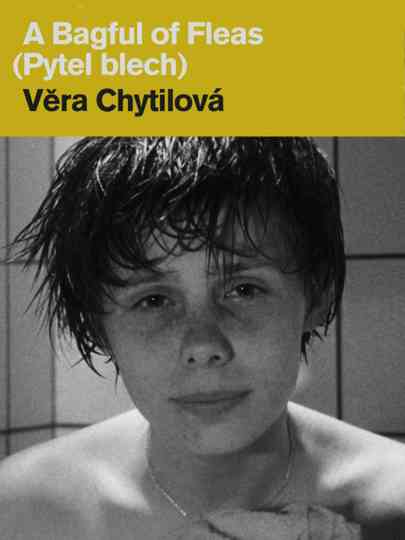 A Bagful of Fleas Poster