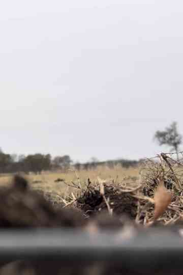 Fourth of July Poster