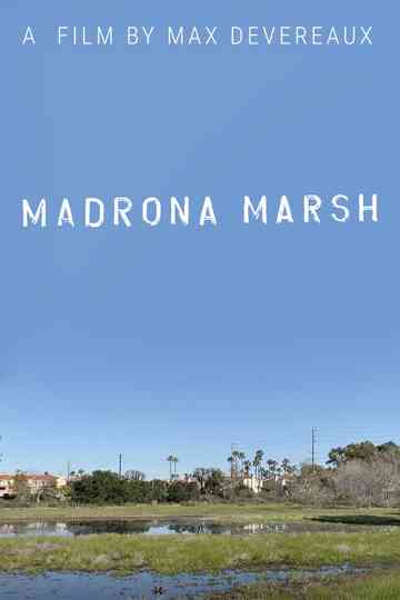 Madrona Marsh Poster