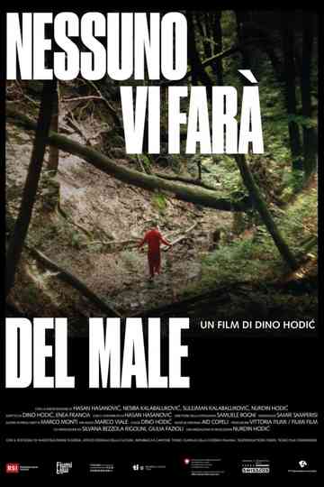 No One Will Hurt You Poster