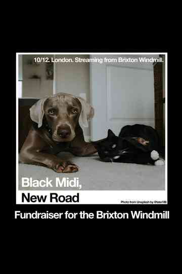 Black Midi, New Road: 'Live at The Windmill, Brixton.' Poster