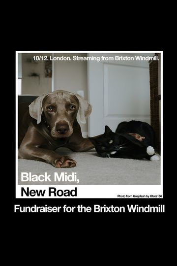 Black Midi, New Road: 'Live at The Windmill, Brixton.'